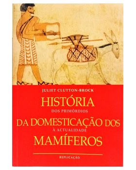 sadacosta-2505ET2313_1.jpg