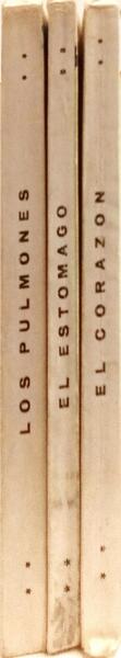 sadacosta-2505et3032_2.jpg