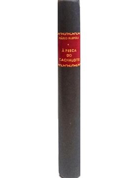 sadacosta-2505et733_1.jpg