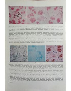 sadacosta-2509pa025_3.jpg