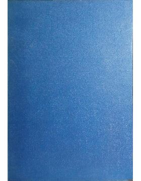 sadacosta-2510rs205_3.jpg