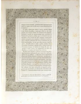 sadacosta-2602sb010_3.jpg