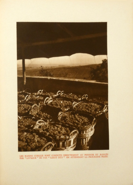 sadacosta-2603sb003_2.jpg