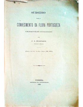 sadacosta-3004ar050_1.jpg