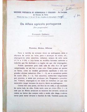 sadacosta-3004mf214_1.jpg