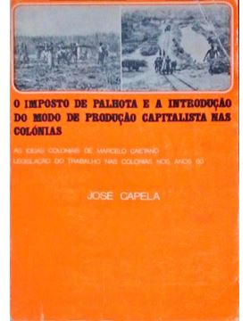 sadacosta-3004mf559_1.jpg