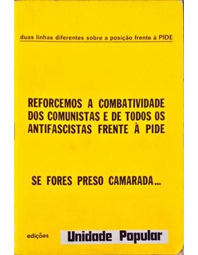 sadacosta-3005mf483_1.jpg